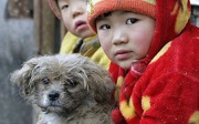 ‘One-dog’ policy in Shanghai