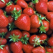 Strawberries could be the new cash fruit crop of Pakistan