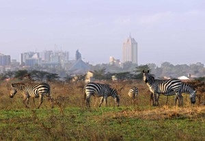 Nairobi-National-Park-5